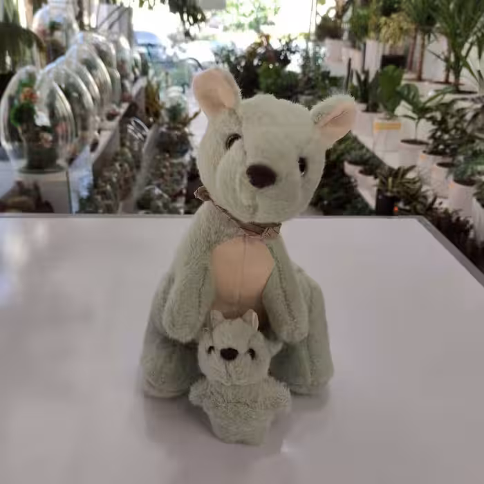 عروسک کانگورو و بچه کانگورو در کرمانشاه