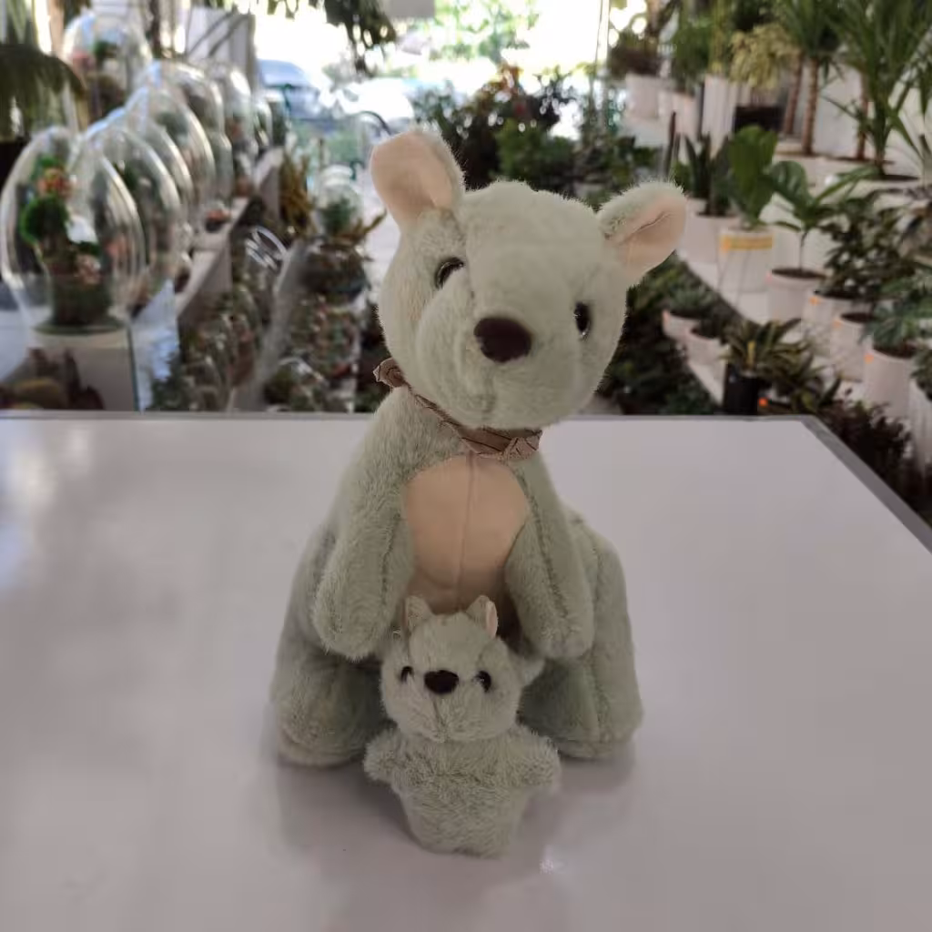 عروسک کانگورو و بچه کانگورو در کرمانشاه