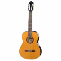 گيتار هافنر HAC204