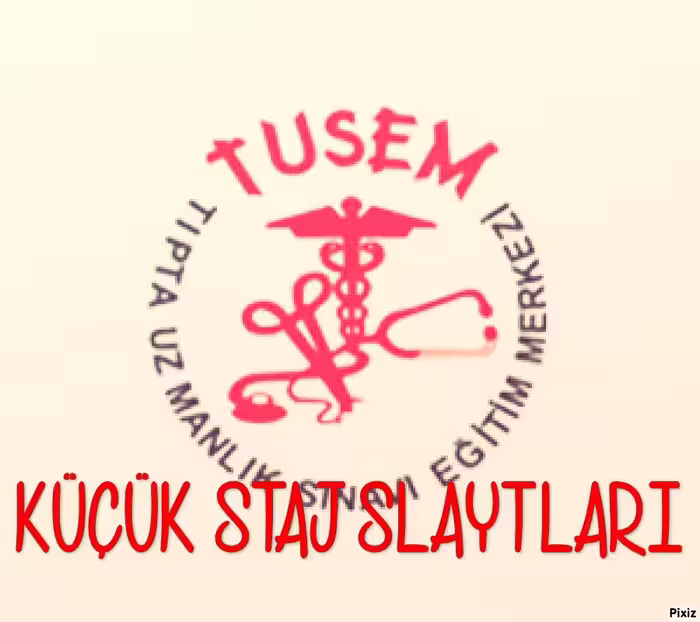 خرید و دانلود نسخه کامل کتاب Küçük Staj Slaytları