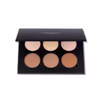 پالت کانتور پودری Light To Medium آناستازیا