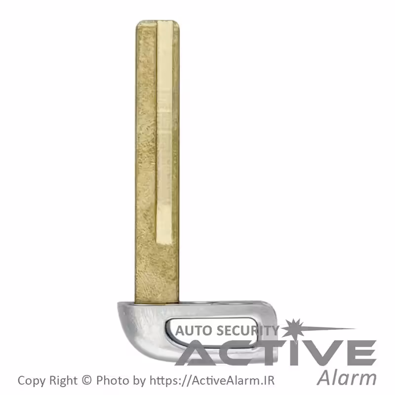 قیمت تیغه ریموت فابریک خودرو هیوندای ولستر