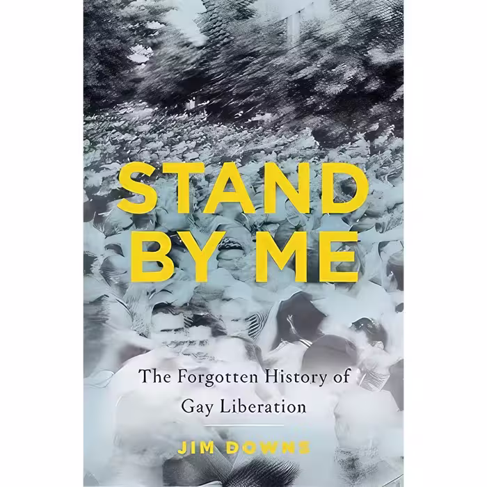 کتاب Stand by Me اثر Jim Downs انتشارات Basic Books