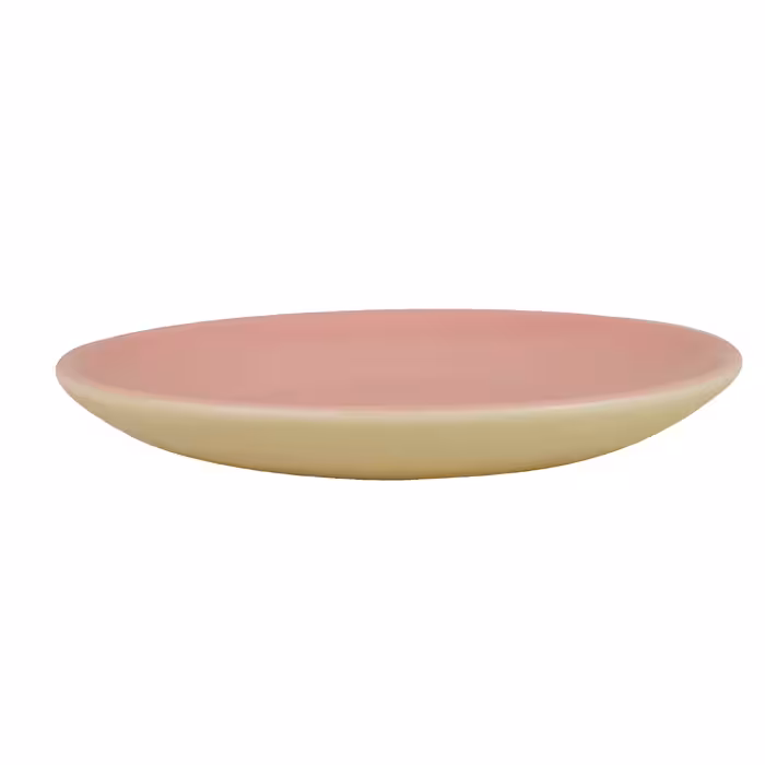 بشقاب سرامیکی طرح پلوخوری مدل پاستلو بسته 6 عددی