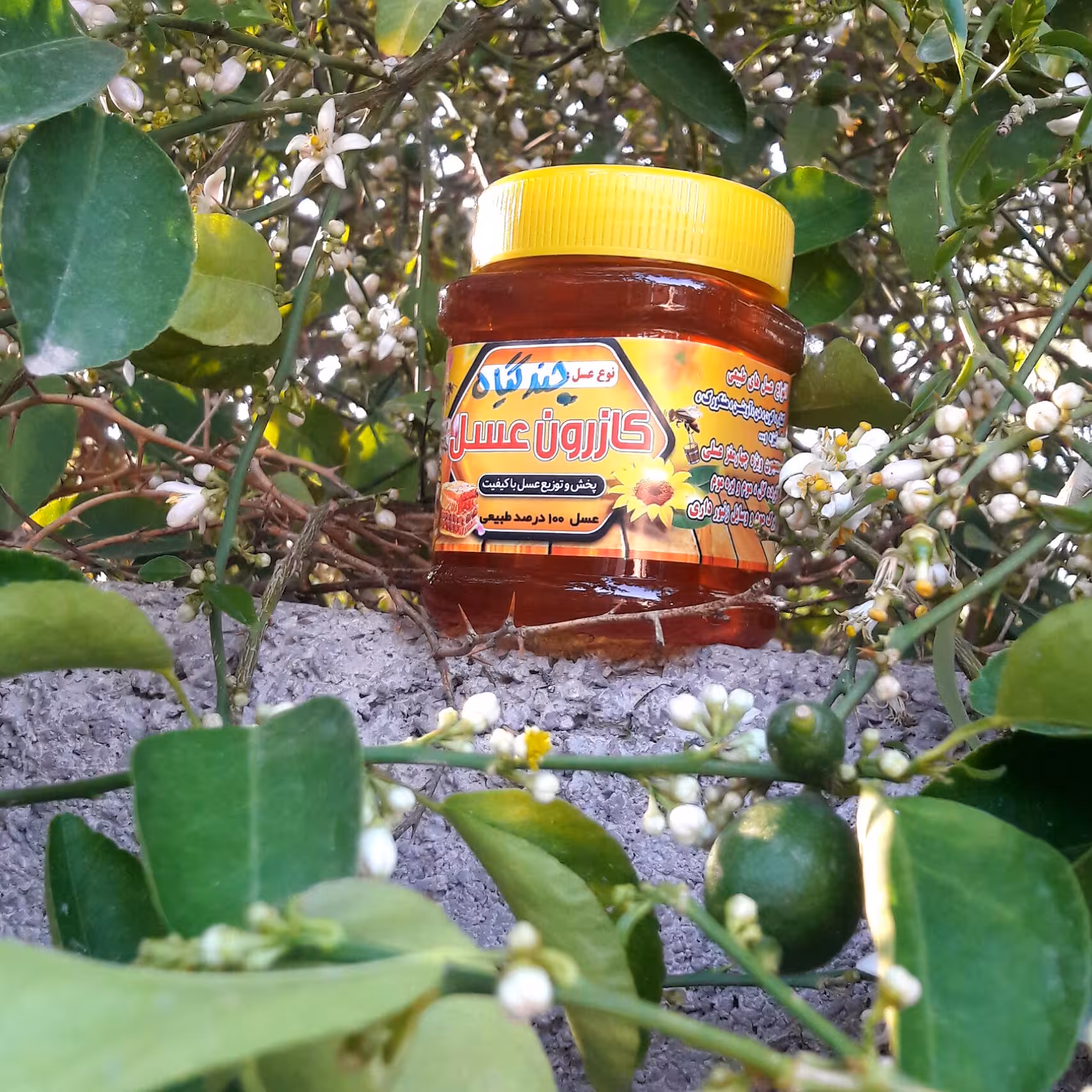 عسل چندگیاه طبیعی جنوب بسیار مقوی از گل های معطر