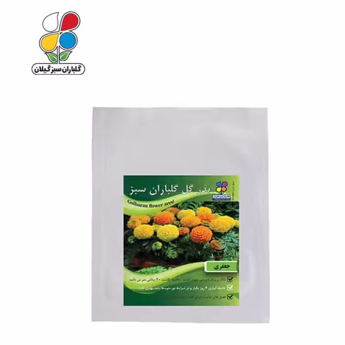 بذر گل جعفری بسته بندی بزرگ ( بسته 24 عددی )