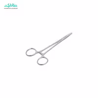 سوزنگیر سرجی مکس