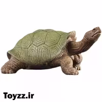 فیگور لاک‌پشت گالاپاگوس سبز Galapagos Green Tortoise Figure