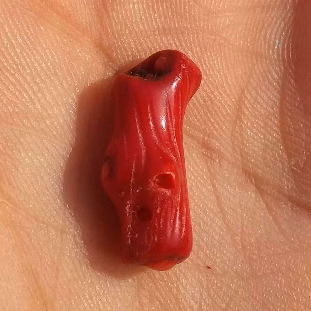 سنگ مرجان سرخ سوراخ دار مناسب آویز شاهکار خلقت بی نظیییر
کد 8758