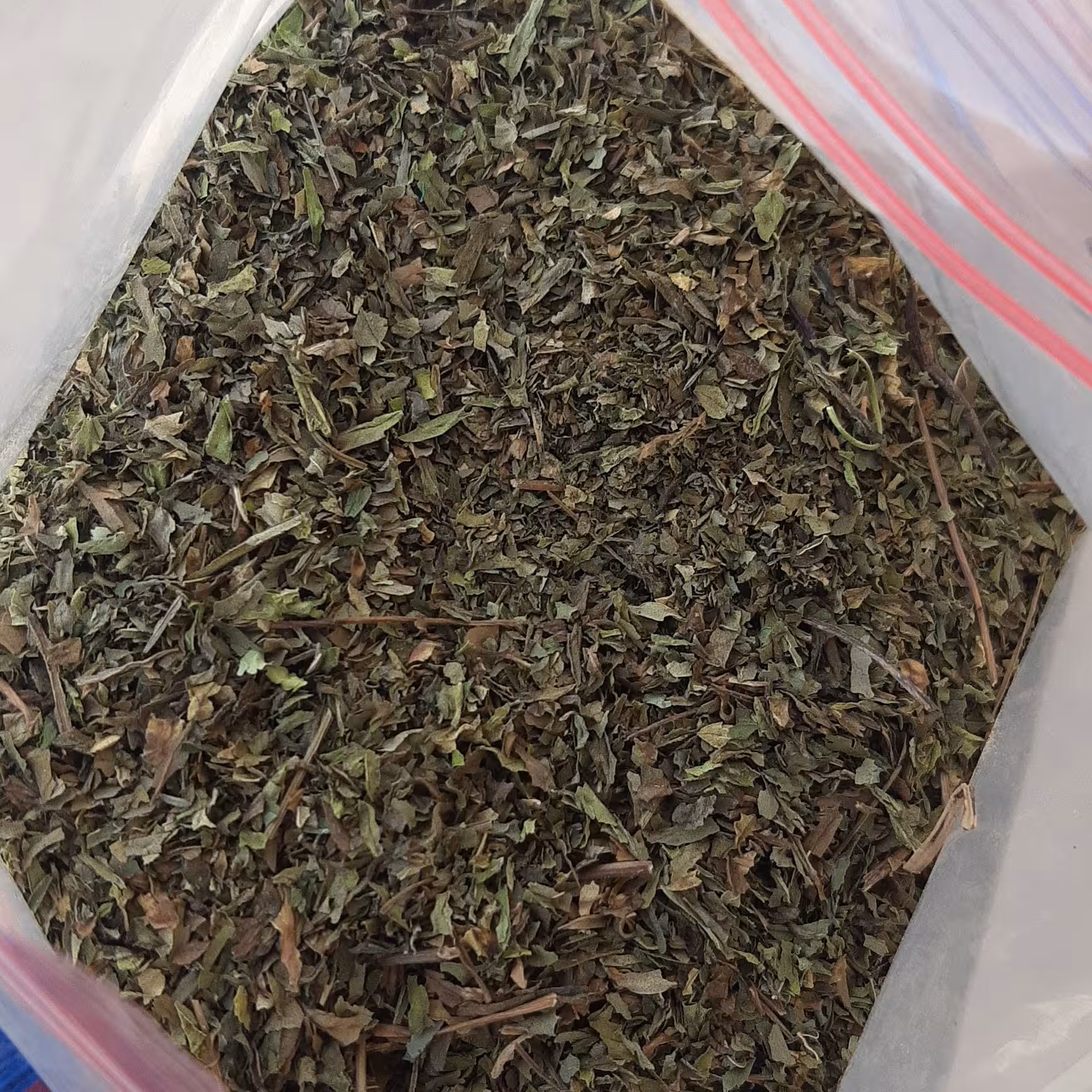 برگ نعنا خشک 10 گیلویی