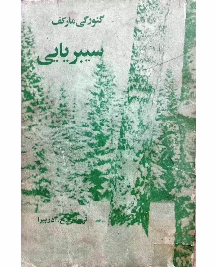 سیبر یابی
