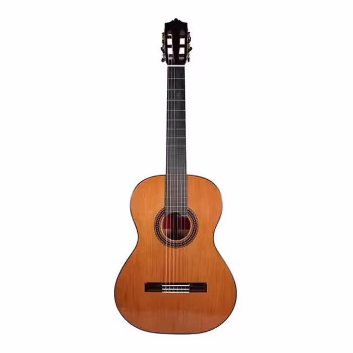 گیتار مارتینز Martinez مدل MC 48C