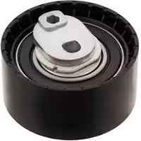 غلتک هرزگرد دينام داستر