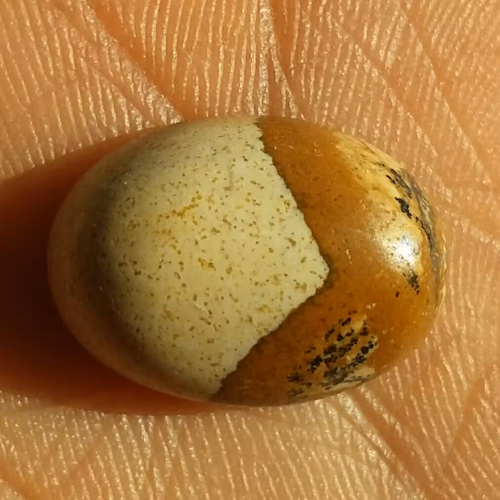 نگین سنگ جاسپر طبیعی و زیبا 
خوش تراش و خوش رنگ شاهکار خلقت 100 درصد طبیعی
دیدنی