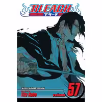 Bleach v57