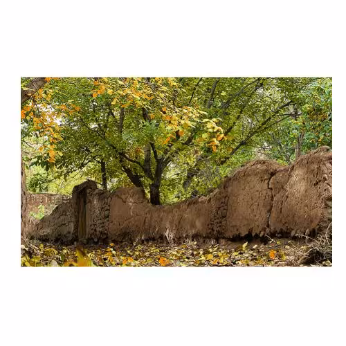 طرح منظره پاییزی کد 23096