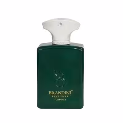 عطر جیبی زنانه و مردانه برندینی مدل Purpose حجم 33 میلی لیتر