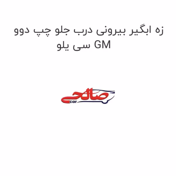 زه ابگیر بیرونی درب جلو چپ دوو سی یلو GM