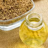 روغن رازیانه سنتی نادر یک لیتری