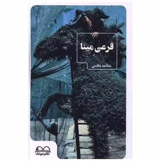 کتاب فرعی مینا اثر متانت محبی