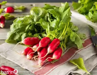 بذر تربچه از نوع کشیده دو رنگ