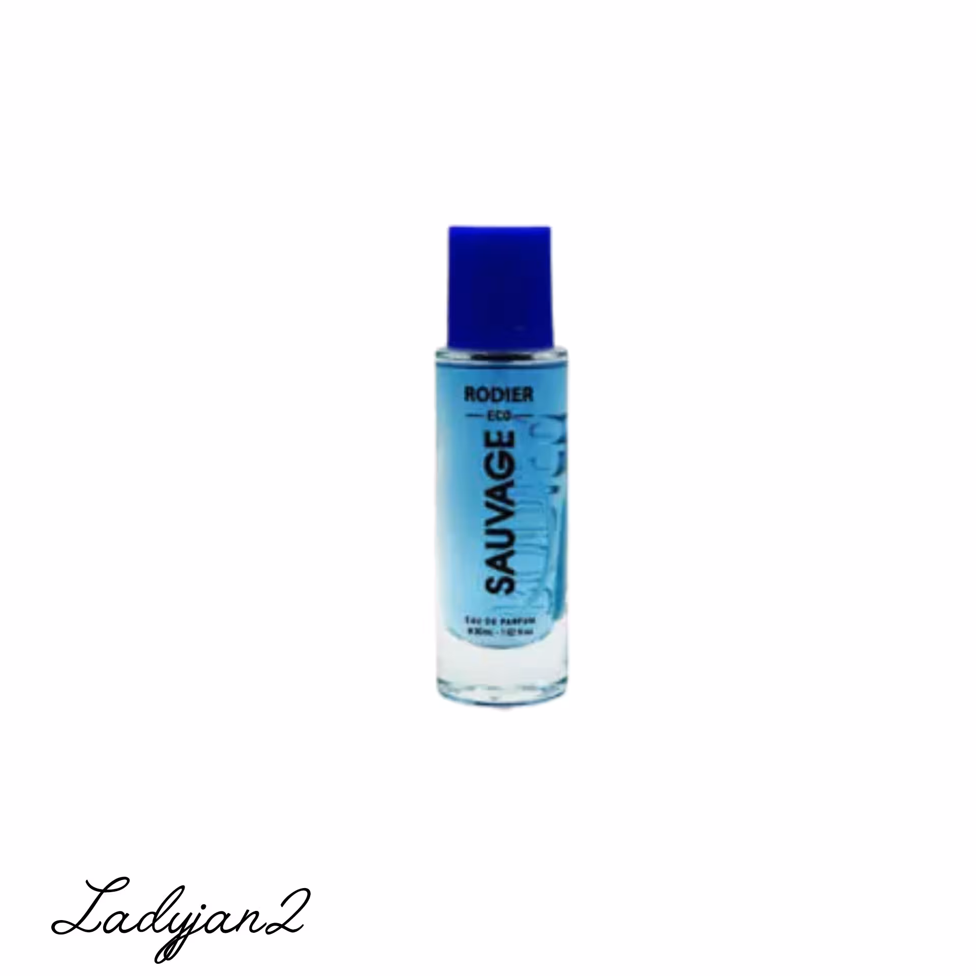 عطر جیبی مردانه رودیر اکو مدل ساواج حجم 30 میل