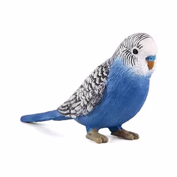 فیگور مرغ عشق آبی Budgerigar Blue Figure MOJO