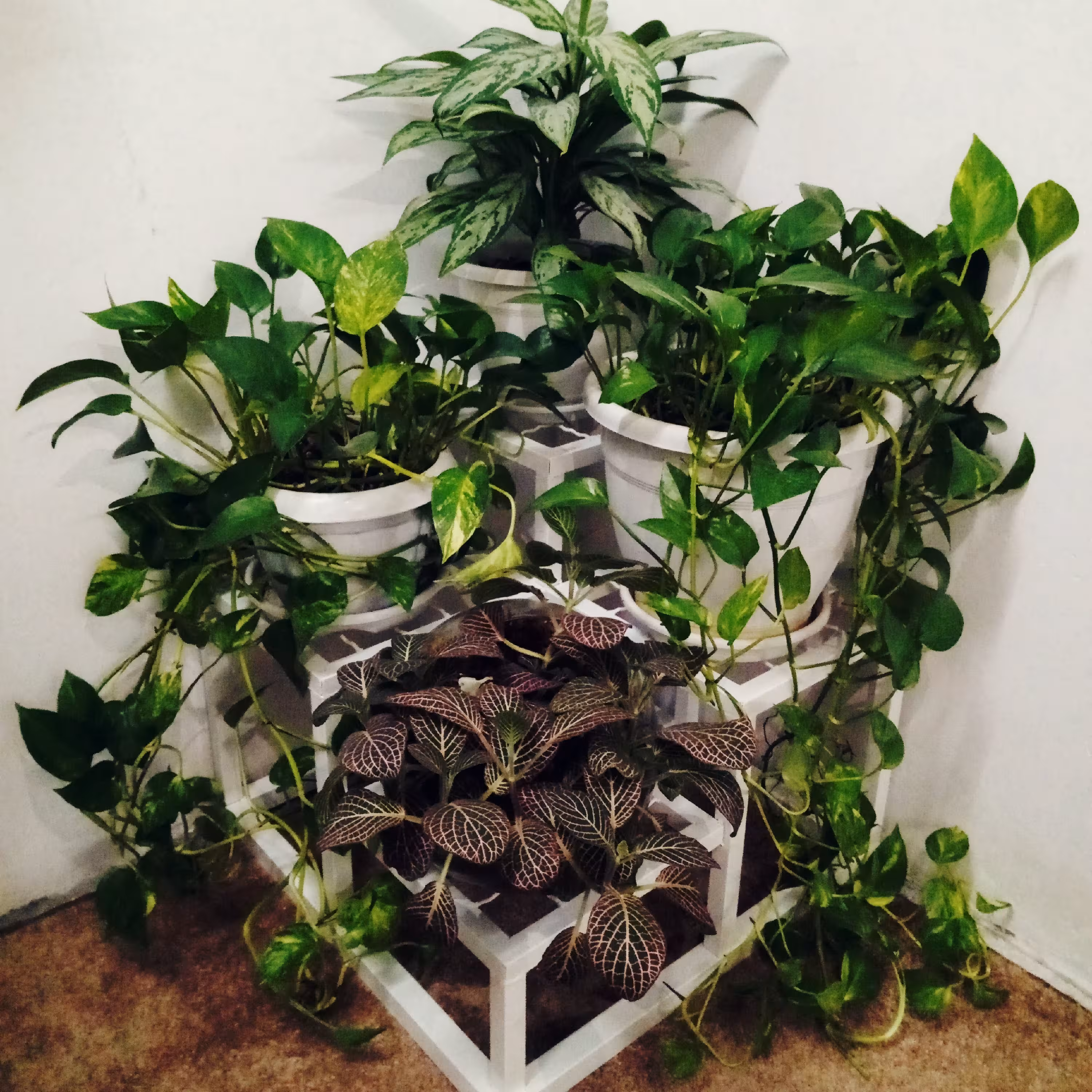 استند گلدان زاویه 90 باکسی(ارسال رایگان)