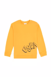 سویشرت پسرانه یو اس پولو