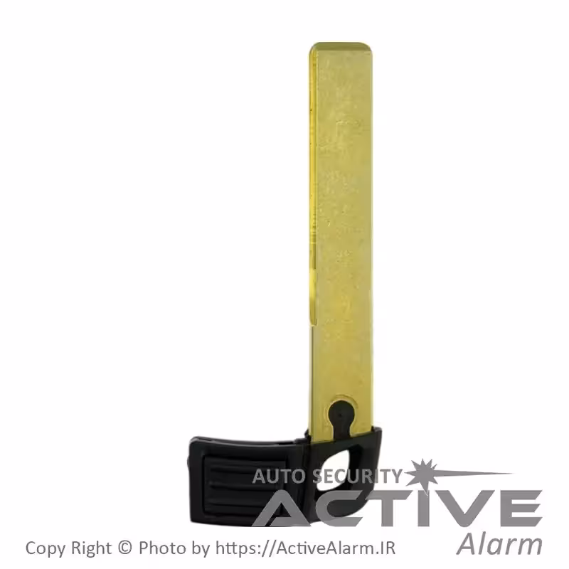 قیمت تیغه ریموت فابریک خودرو BMW سری E مشکی