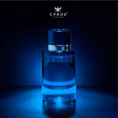 ادکلن WRITER PERFUM PARIS SPPC رایتر پرفیوم مردانه با رایحه تند