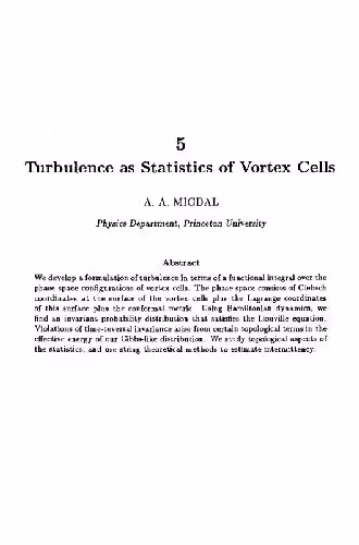 خرید و دانلود نسخه کامل کتاب Turbulence as statistics of vortex cells