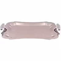 سینی مستطیل متوسط دالبر دسته نقره ای نگینی ریور کد 7226