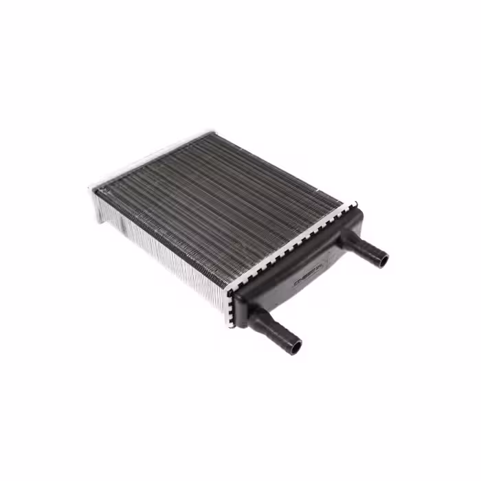 رادیاتور بخاری سانگ یانگ اکتیون