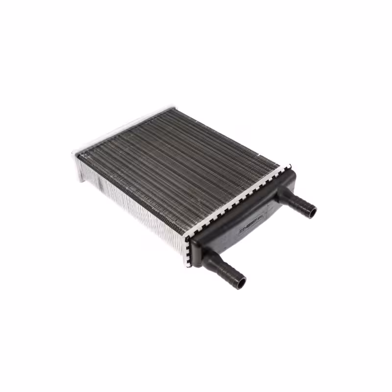 رادیاتور بخاری سانگ یانگ اکتیون