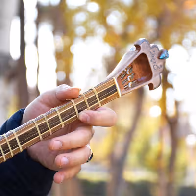 سه تار ایران ساز مدل شمع و پروانه