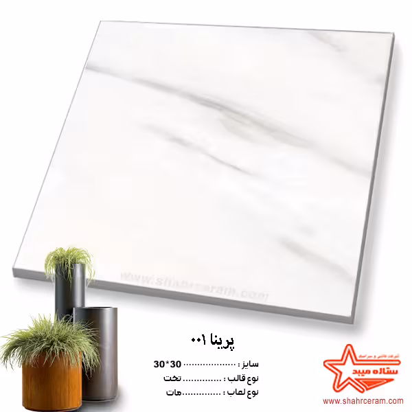 سرامیک 001 پرنیا 30*30 کاشی ستاره