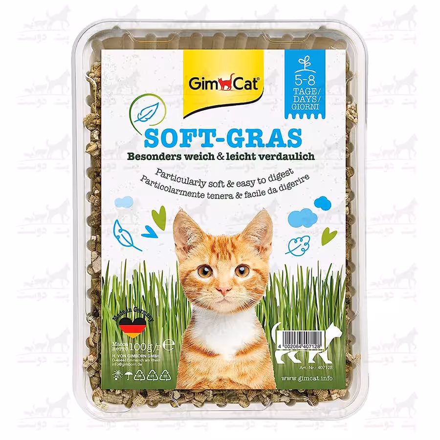 بذر علف گربه جیم کت مدل Soft-Gras وزن 100گرم