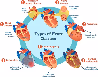 فایل نمونه سوال مقدمات بیماریهای قلب و عروق با پاسخ