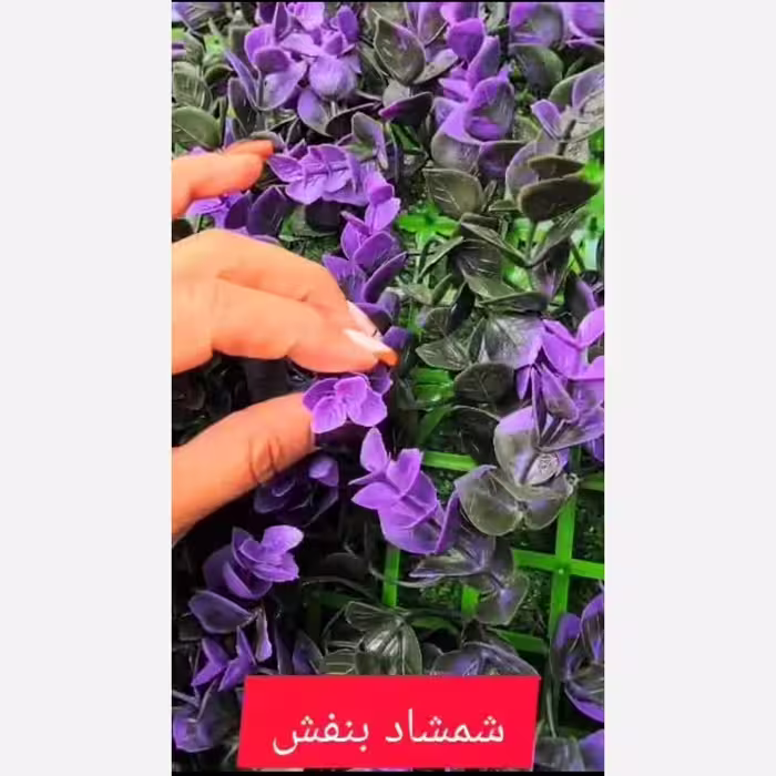 گرین وال شمشاد بنفش ابعاد 40در60 cm (دیوار سبز/گرینوال)(پس کرایه)