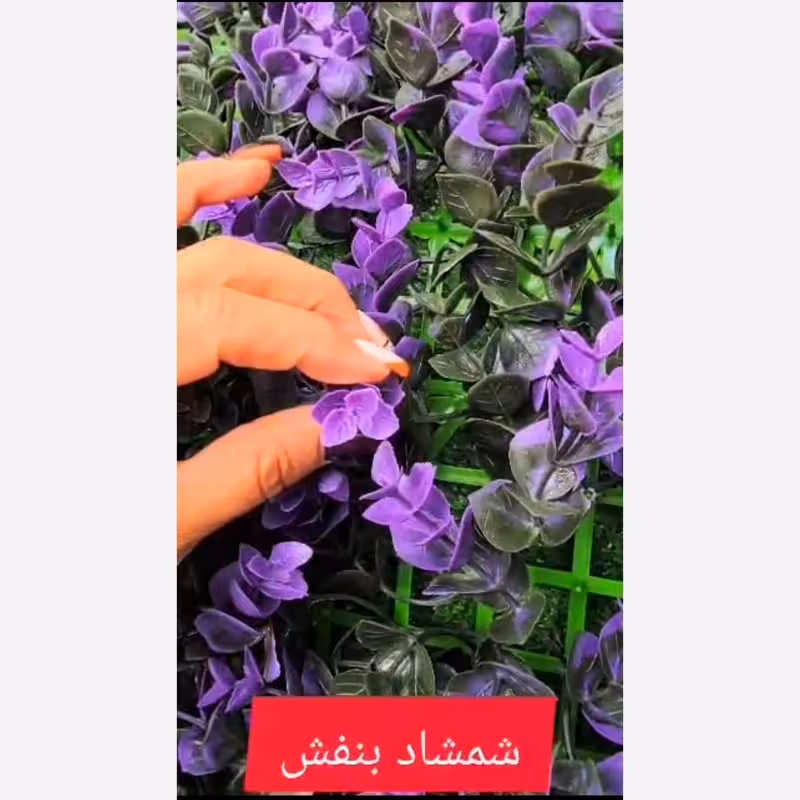 گرین وال شمشاد بنفش ابعاد 40در60 cm (دیوار سبز/گرینوال)(پس کرایه)