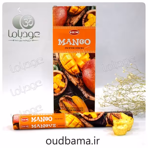عود انبه منگو  MANGO ( هم HEM )