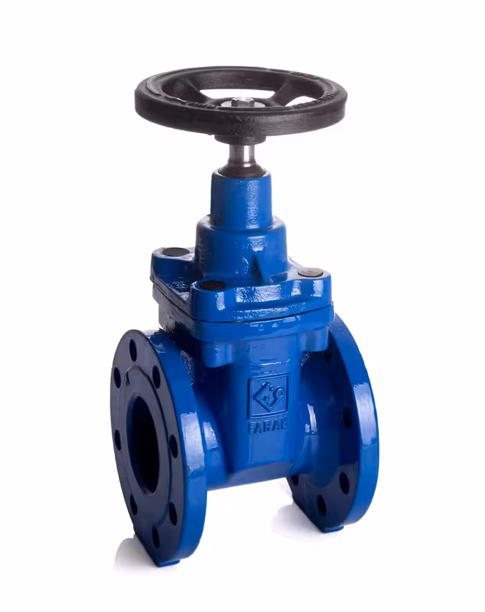 کشویی زبانه لاستیکی 2 اینچ چدنی pn16 فاراب F4