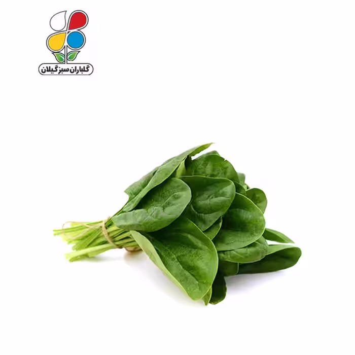 بذر اسفناج بسته بندی کوچک