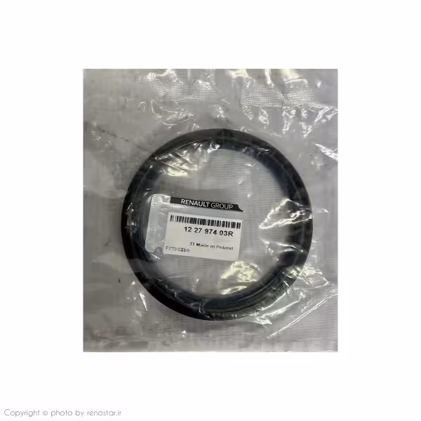 کاسه نمد ته میلنگ مگان 1600 اصلی