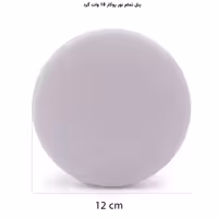 پنل فول لایت گرد روکار 18 وات پرشین لایت (PLI) | اکسلنت کالا