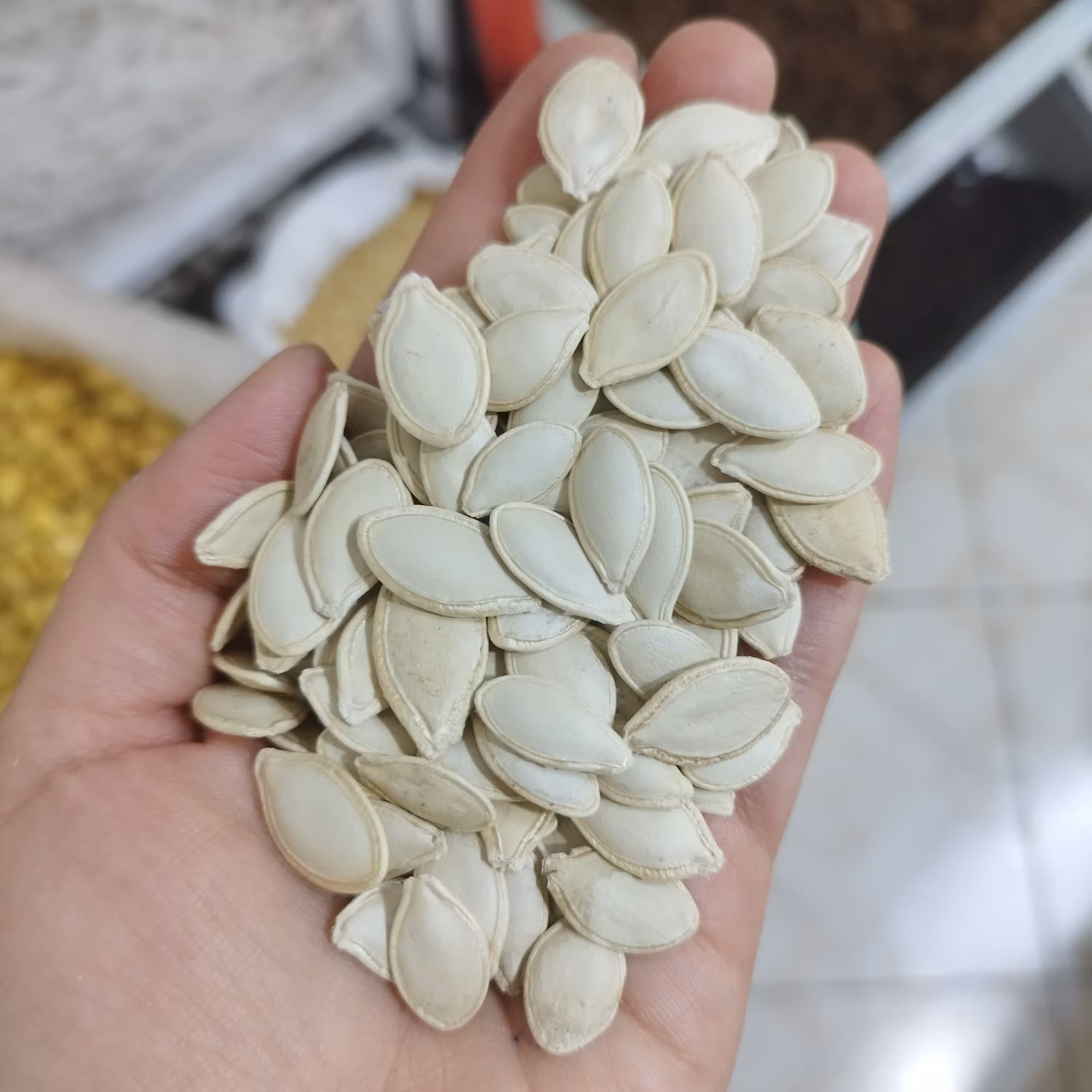 تخمه کدو خام گوشتی تازه ایرانی (250گرمی)