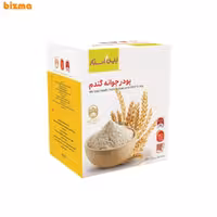 پودر جوانه گندم بین استار – 25 ساشه 15 گرمی