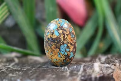 فیروزه نیشابور