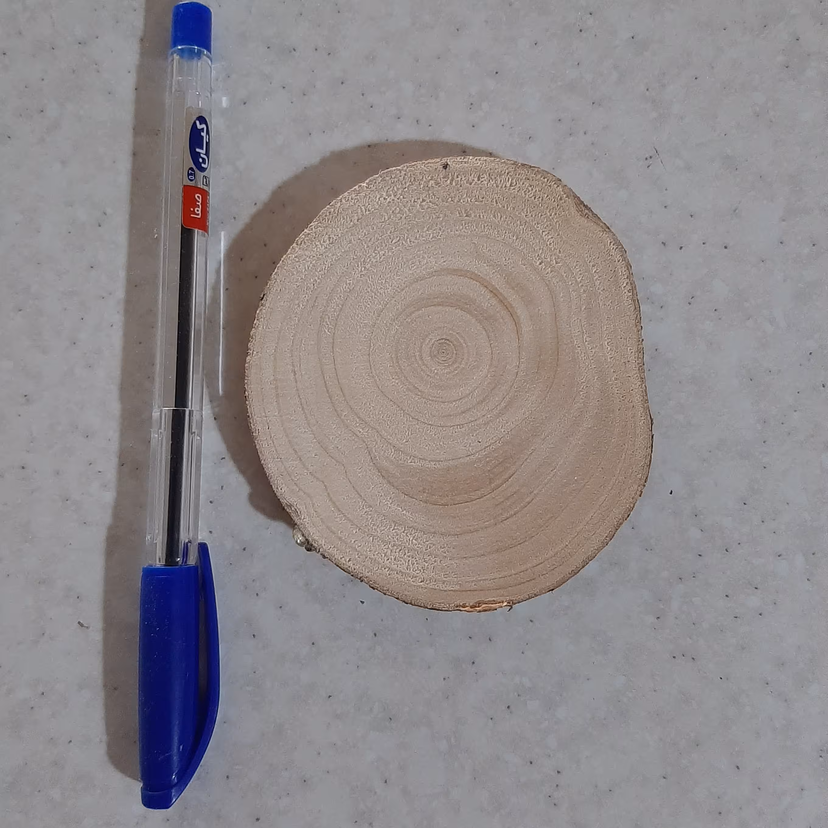 برش کالباسی چوب ( دایره ) خام و بدون رنگ و طبیعی مناسب هنرهای دستی